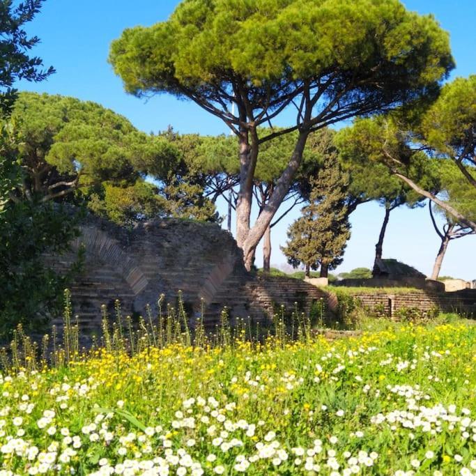 Per Antiqua Itinere Apartment Ostia Antica Luaran gambar